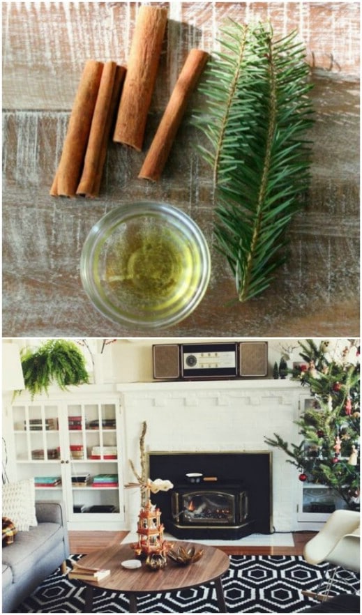 Homemade Cinnamon And Pine Simmering Potpourri