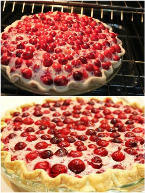 Luscious DIY Cranberry Cheesecake