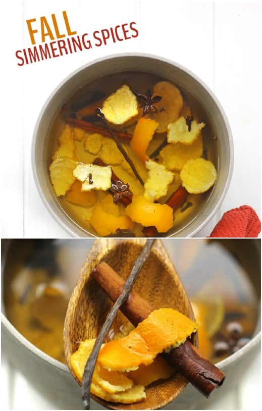 Fall Simmering Spices Potpourri