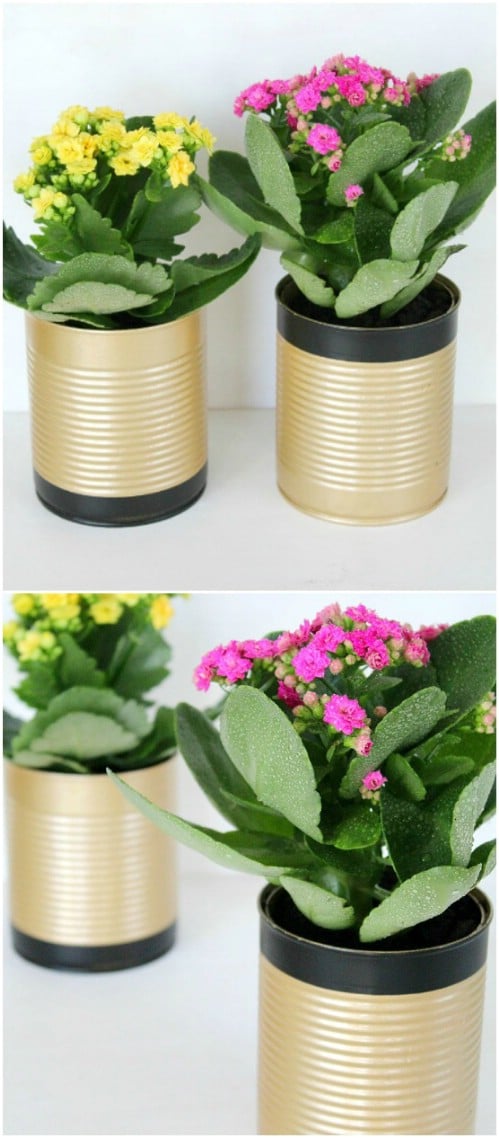 Soup Can Flower Pots