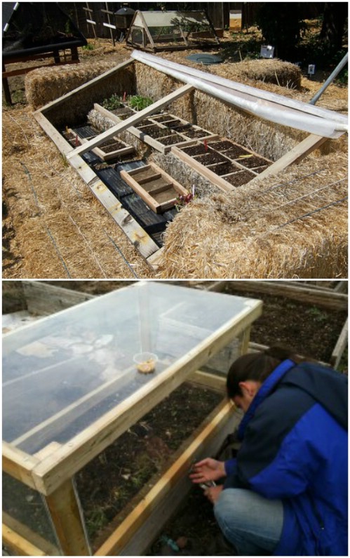 Hay Bale Cold Frame Greenhouse