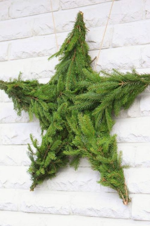 DIY Christmas Evergreen Star