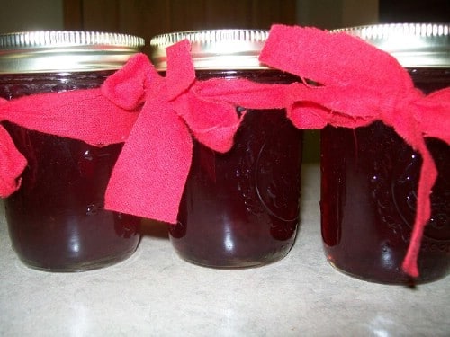 Simple Cranberry Crock Pot Jam