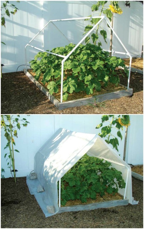 Easy A Frame Mini Greenhouse