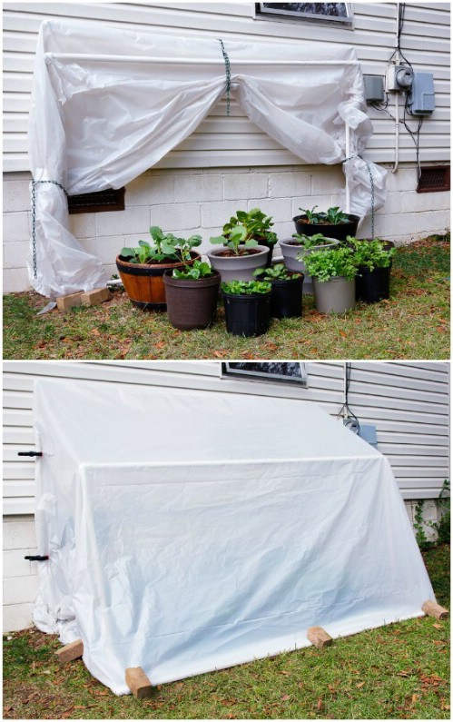 Fast And Easy Fold Down Greenhouse