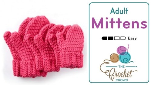 Crochet Adult Sized Mittens