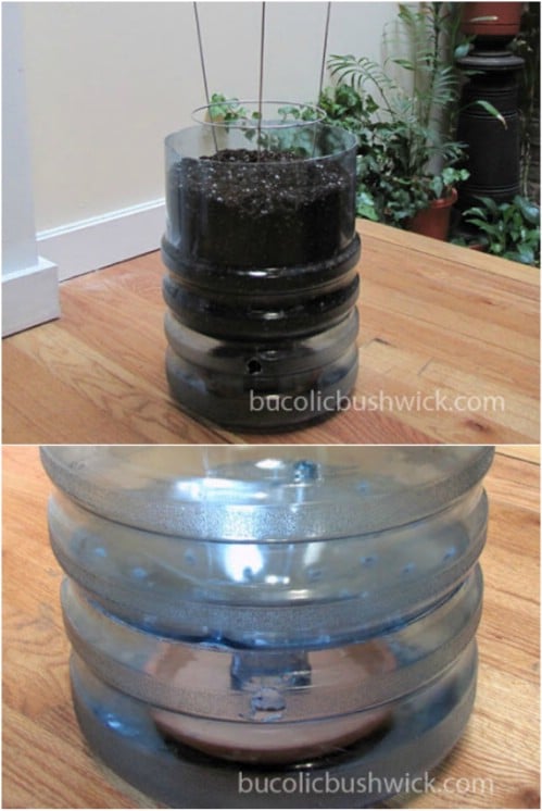 Repurposed Water Cooler Bottle Self Watering Planter