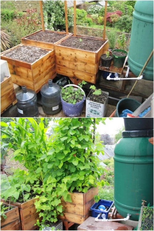 DIY Wooden Box Self Watering Planters