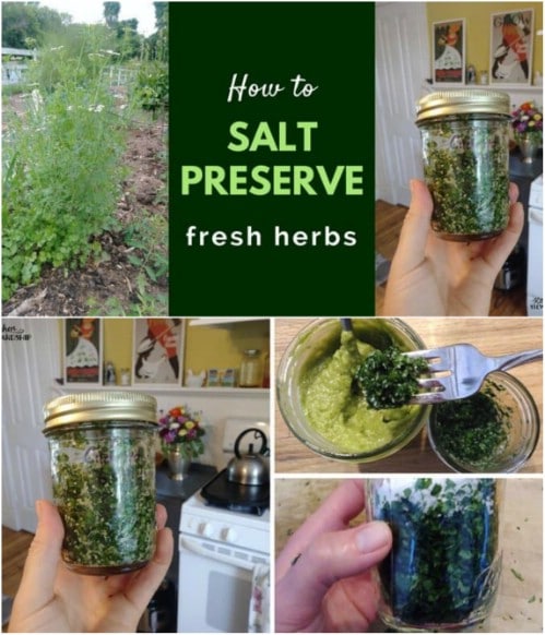Preserve Herbs With Salt