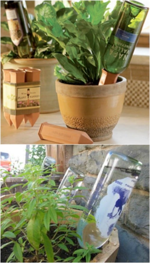 DIY Recycled Bottle Watering Globes