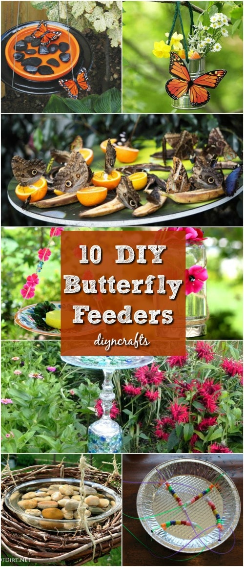 10 DIY Butterfly Feeders That Will Add Beauty And Butterflies To Your Garden