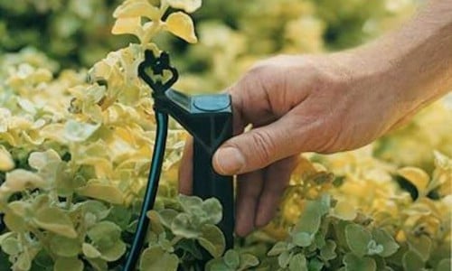 Cheap DIY Drip Irrigation