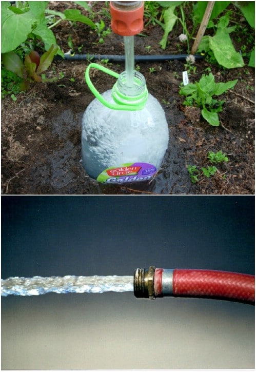 Repurposed Plastic Bottle Irrigation System