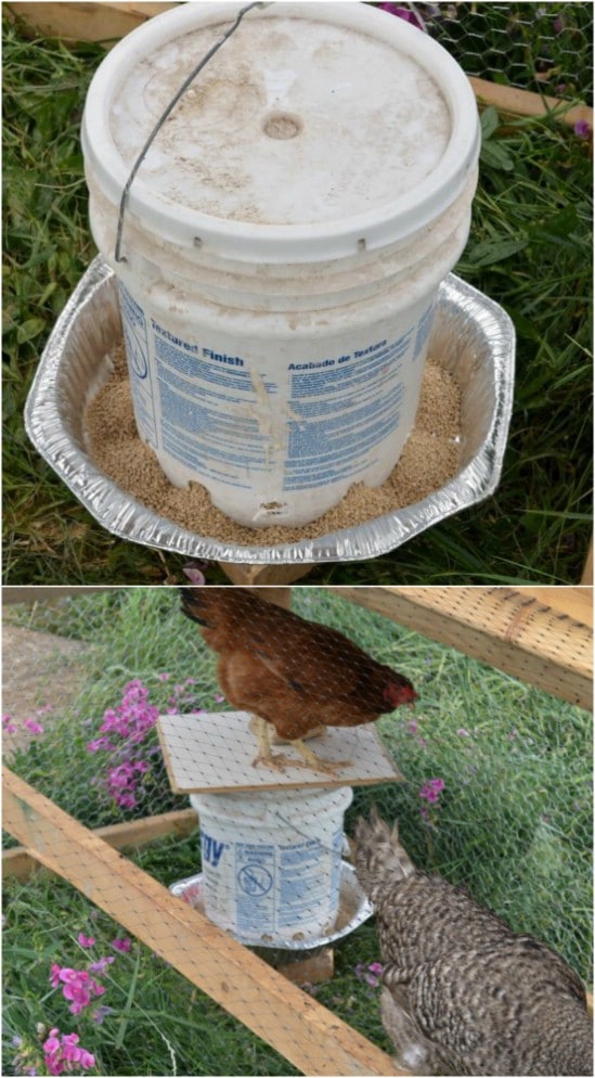 Repurposed Bucket Chicken Feeder