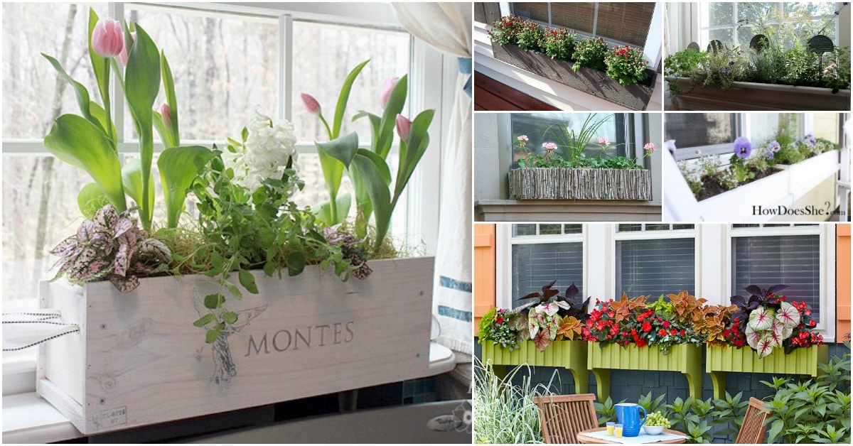 20 Gorgeous DIY Window Flower Box Planters To Beautify Your Home