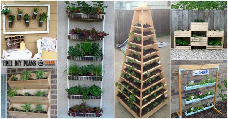 vertical garden ideas you can make today