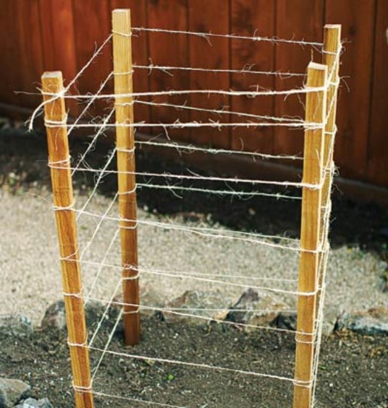 Easy DIY Stake And Twine Plant Cage