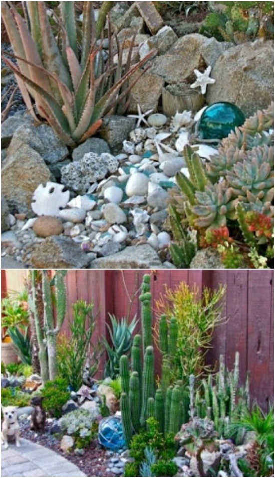 DIY Seashell Succulent Garden