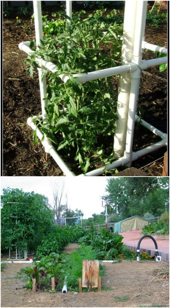 15 Diy Plant Supports And Cages You Need In Your Summer Garden Diy Crafts,How Often Do Puppies Poop A Day