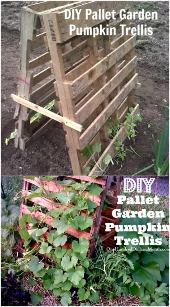 Repurposed Pallet Plant Trellis