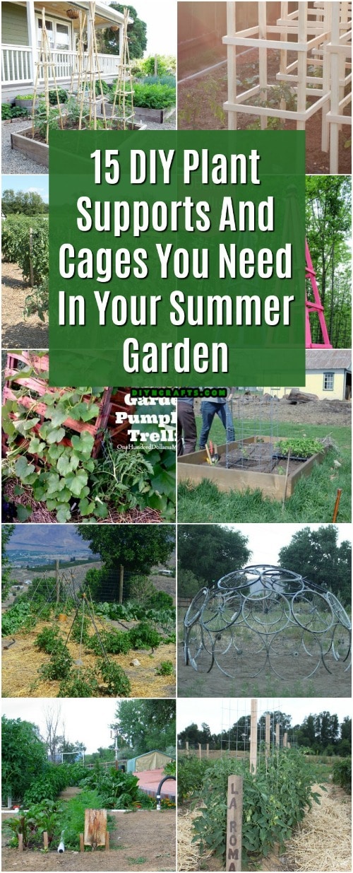 15 DIY Plant Supports And Cages You Need In Your Summer Garden