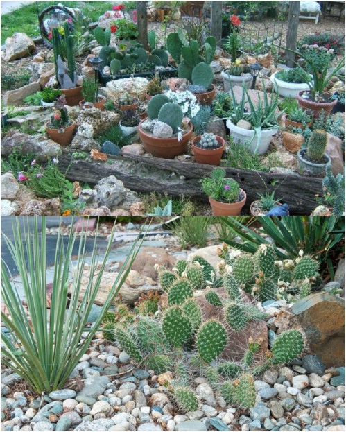 10 Gorgeous And Easy Diy Rock Gardens That Bring Style To Your
