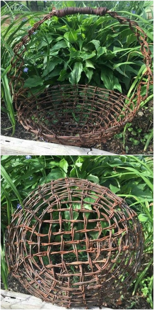 Rusted Barbed Wire Garden Basket