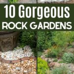 Rock garden collage