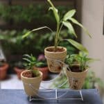 patio plant stands