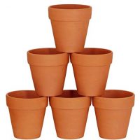 Winlyn 6 Pcs Large Terracotta Pot Clay Pots 5'' Clay Ceramic Pottery Planter Cactus Flower Pots Succulent Pot Drainage Hole- Great for Plants,Crafts,Wedding Favor