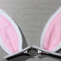 Bunny Ear Clips