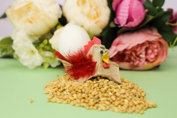How to Make Cute Little Hens for Easter Out of an Egg Carton