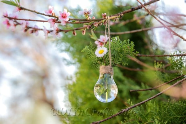 Bulb planter hanging from a tree