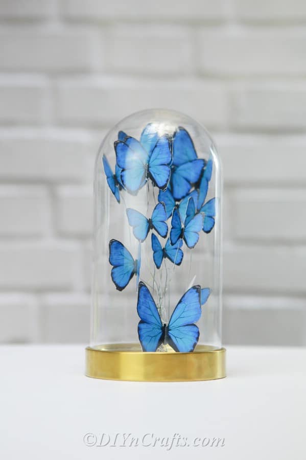 Blue butterflies in jar decorating a desk.