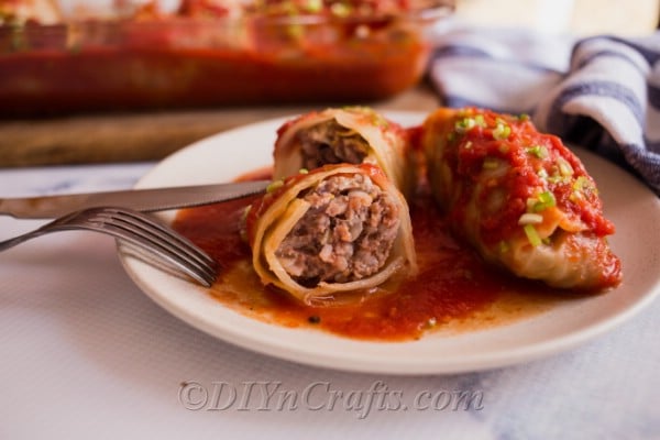 Cabbage rolls served ready to eat.