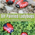 Learn how to turn ordinary stones into treasures for your garden. These DIY ladybug rocks are simple to paint and give your outdoors such style!