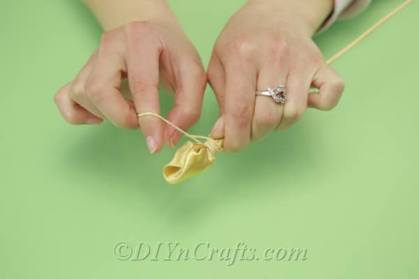 Wrapping a rubber band around the tulip