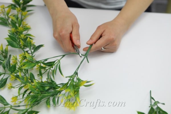 With the pliers, cut the branches you want to use in your wreath.