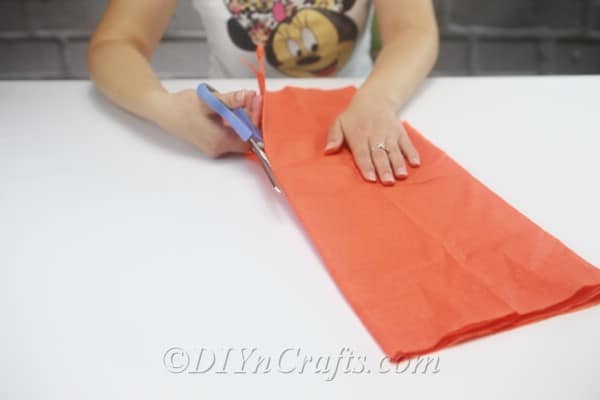 Cut along the sides of your folded tissue paper to make many strips.