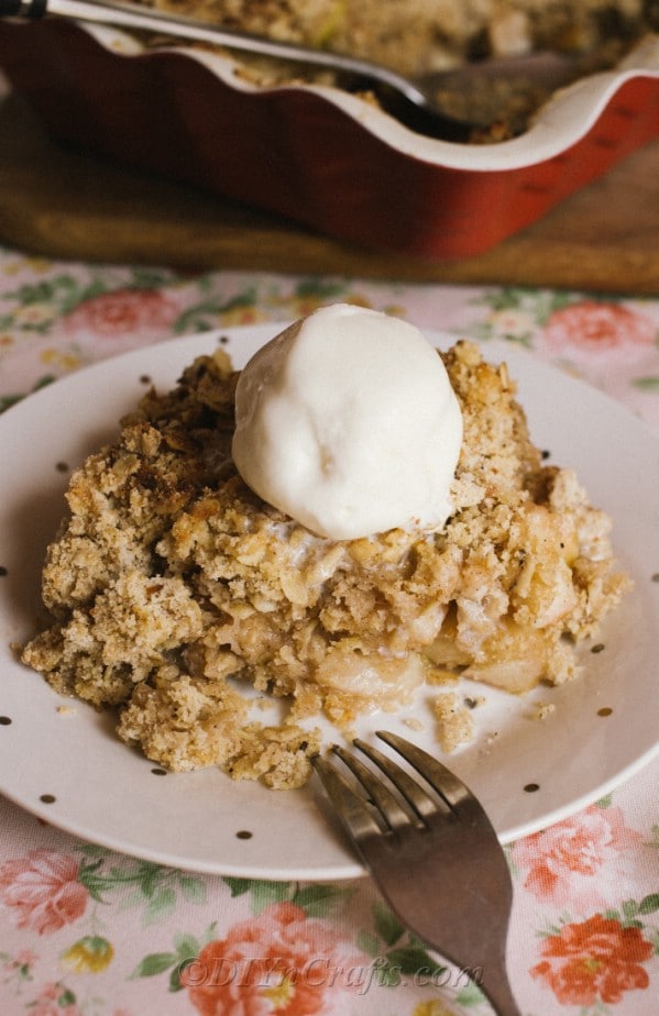 Close up picture of a polka dot plate topped with a large serving of apple crumble recipe