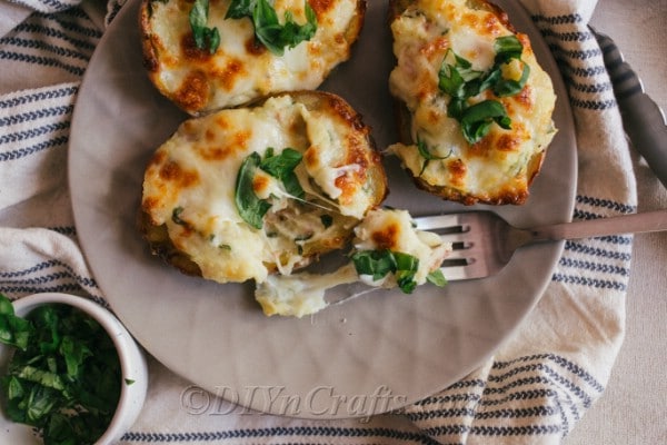 Overhead picture of loaded potato skins on a plate one with a bite out of it