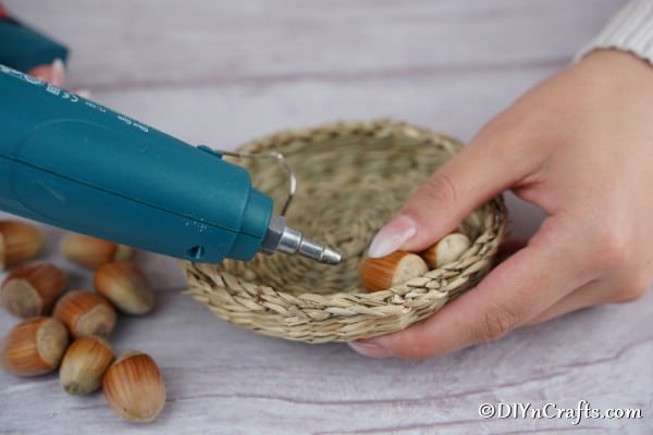 Gluing the hazelnuts together to form an ornament