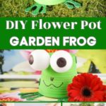 Flower pot frog displayed in various ways