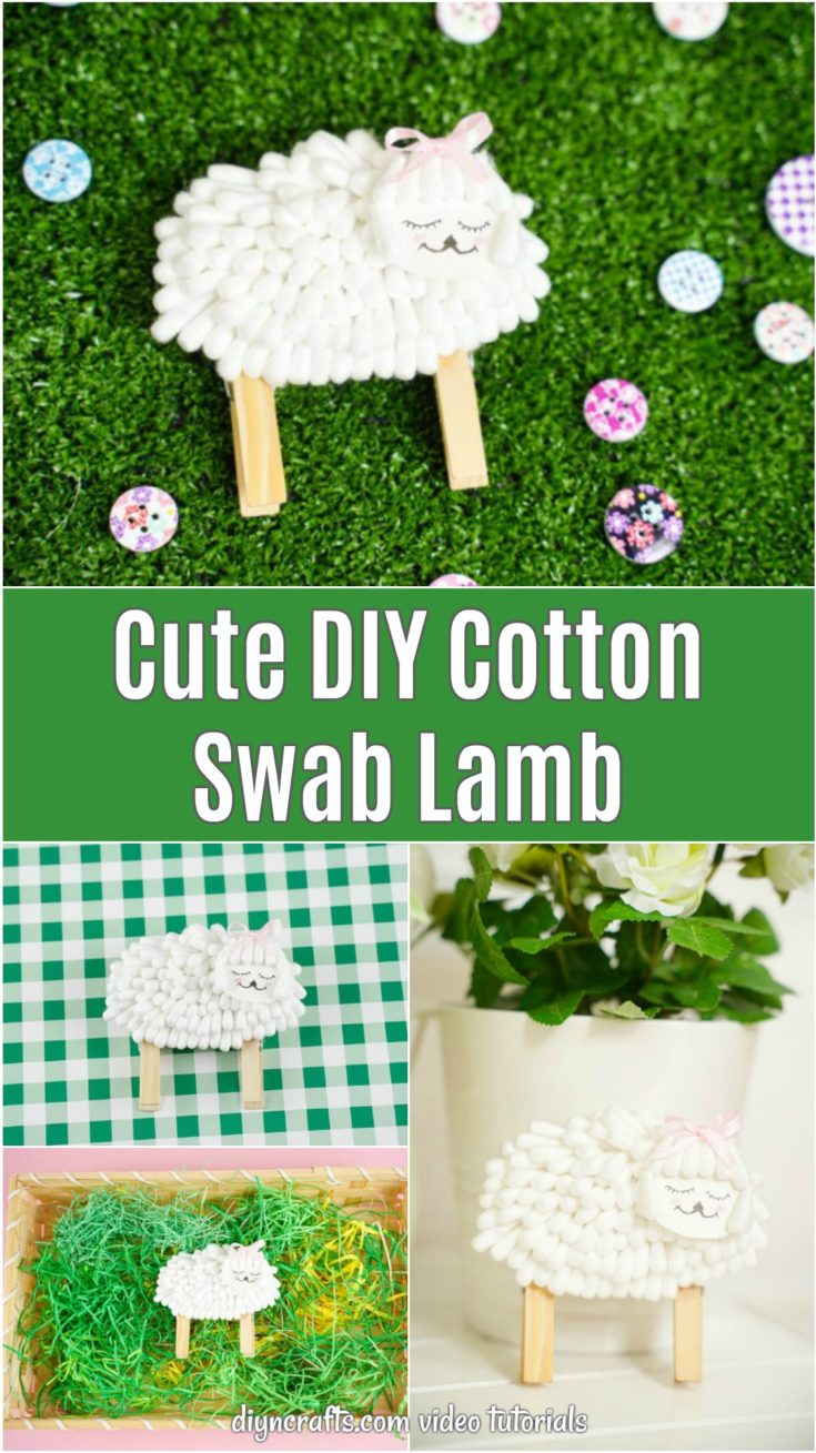 Cotton swab lamb pictures