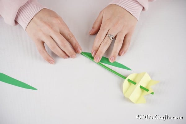 Attaching leaves to stem of paper tulip