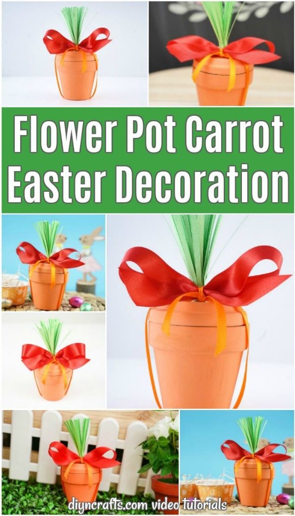 Collage of flower pot carrot