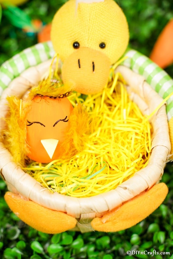 Chicken decorated egg in duck bowl