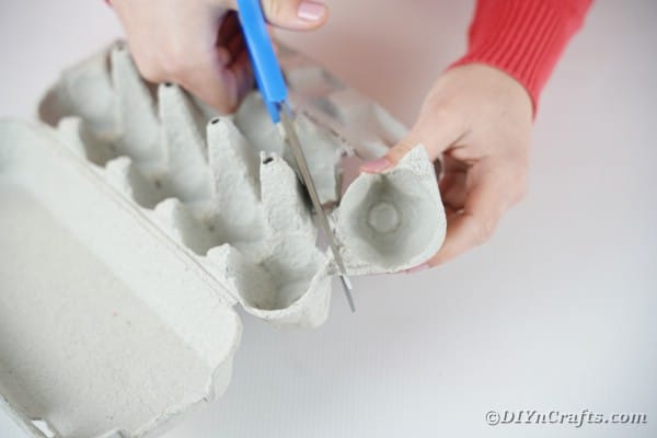 Cutting a section out of an egg carton