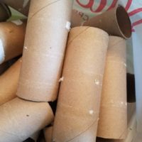 Clean Empty Toilet Paper Rolls - lot of 10 for crafting