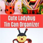 Ladybug tin can organizer collage